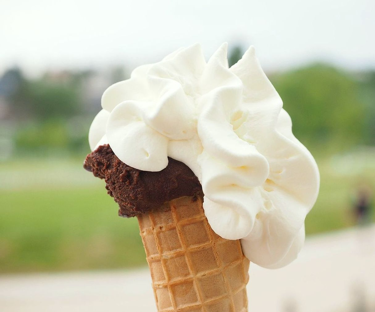 La vitrina de gelato artesanal con sabores frescos del día